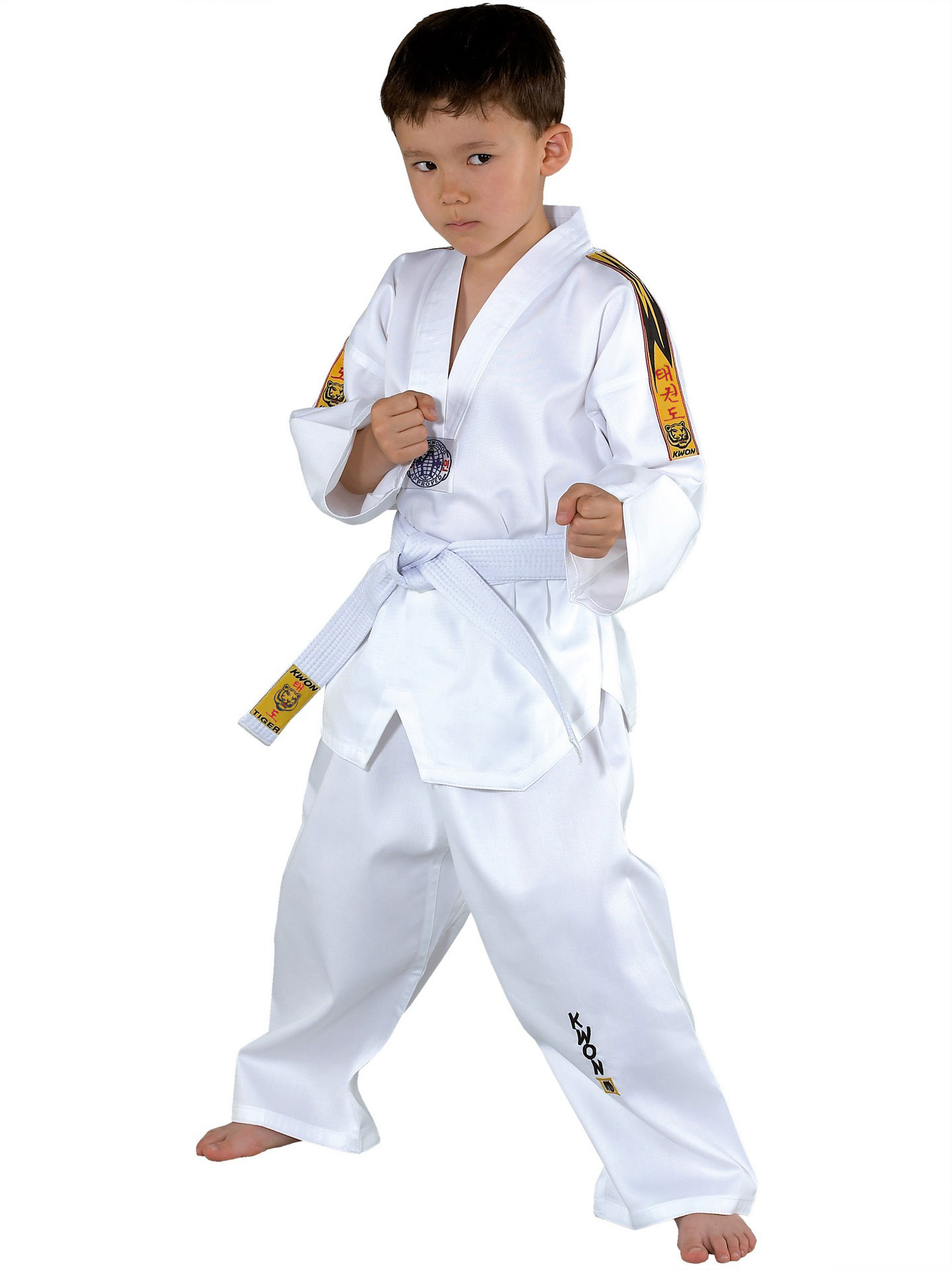 Taekwondo Suit Tiger