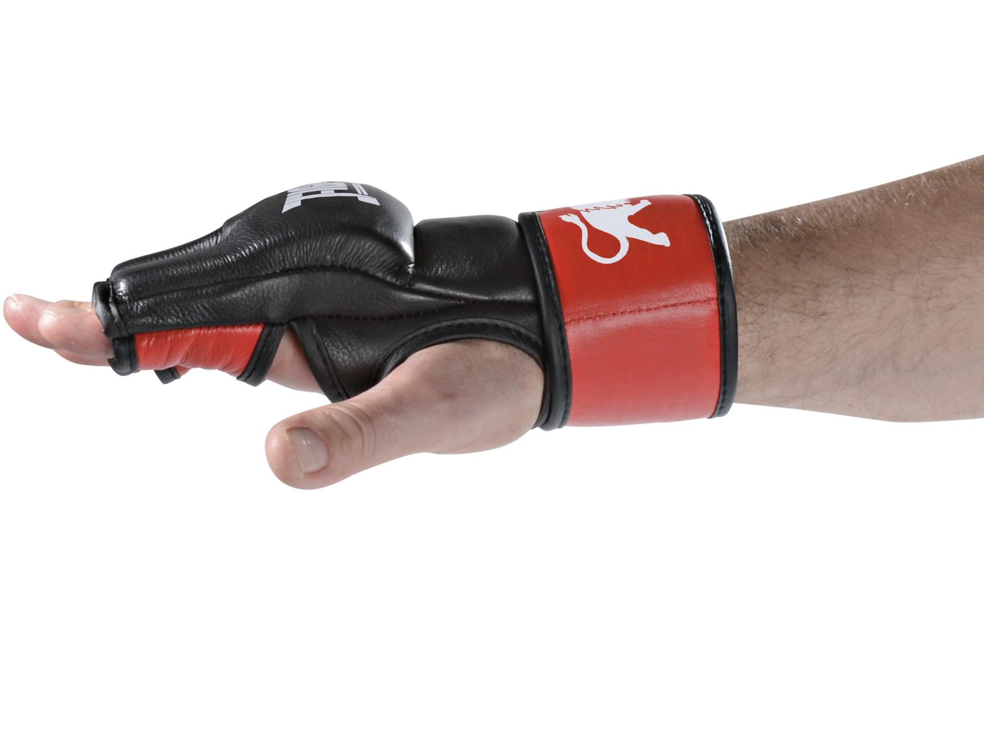 FIGHTNATURE MMA Handschuhe Leder